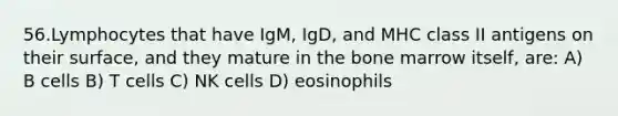 56.Lymphocytes that have IgM, IgD, and MHC class II antigens on their surface, and they mature in the bone marrow itself, are: A) B cells B) T cells C) NK cells D) eosinophils