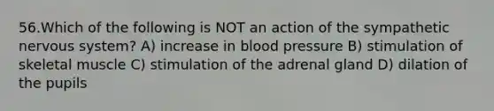 56.Which of the following is NOT an action of the sympathetic nervous system? A) increase in <a href='https://www.questionai.com/knowledge/kD0HacyPBr-blood-pressure' class='anchor-knowledge'>blood pressure</a> B) stimulation of skeletal muscle C) stimulation of the adrenal gland D) dilation of the pupils