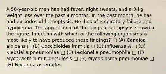 A 56-year-old man has had fever, night sweats, and a 3-kg weight loss over the past 4 months. In the past month, he has had episodes of hemoptysis. He dies of respiratory failure and hypoxemia. The appearance of the lungs at autopsy is shown in the figure. Infection with which of the following organisms is most likely to have produced these findings? □ (A) Candida albicans □ (B) Coccidioides immitis □ (C) Influenza A □ (D) Klebsiella pneumoniae □ (E) Legionella pneumophila □ (F) Mycobacterium tuberculosis □ (G) Mycoplasma pneumoniae □ (H) Nocardia asteroides