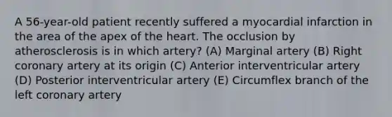 A 56-year-old patient recently suffered a myocardial infarction in the area of the apex of the heart. The occlusion by atherosclerosis is in which artery? (A) Marginal artery (B) Right coronary artery at its origin (C) Anterior interventricular artery (D) Posterior interventricular artery (E) Circumflex branch of the left coronary artery