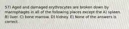 57) Aged and damaged erythrocytes are broken down by macrophages in all of the following places except the A) spleen. B) liver. C) bone marrow. D) kidney. E) None of the answers is correct.