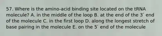 57. Where is the amino-acid binding site located on the tRNA molecule? A. in the middle of the loop B. at the end of the 3 ́ end of the molecule C. in the first loop D. along the longest stretch of base pairing in the molecule E. on the 5 ́ end of the molecule