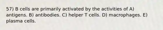 57) B cells are primarily activated by the activities of A) antigens. B) antibodies. C) helper T cells. D) macrophages. E) plasma cells.