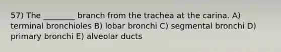 57) The ________ branch from the trachea at the carina. A) terminal bronchioles B) lobar bronchi C) segmental bronchi D) primary bronchi E) alveolar ducts