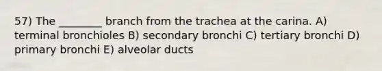 57) The ________ branch from the trachea at the carina. A) terminal bronchioles B) secondary bronchi C) tertiary bronchi D) primary bronchi E) alveolar ducts