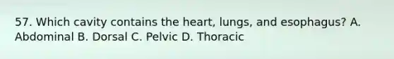 57. Which cavity contains the heart, lungs, and esophagus? A. Abdominal B. Dorsal C. Pelvic D. Thoracic