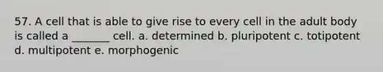 57. A cell that is able to give rise to every cell in the adult body is called a _______ cell. a. determined b. pluripotent c. totipotent d. multipotent e. morphogenic