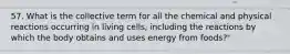 57. What is the collective term for all the chemical and physical reactions occurring in living cells, including the reactions by which the body obtains and uses energy from foods?