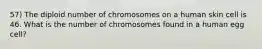 57) The diploid number of chromosomes on a human skin cell is 46. What is the number of chromosomes found in a human egg cell?