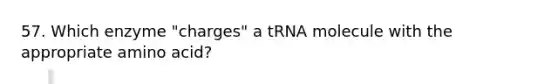 57. Which enzyme "charges" a tRNA molecule with the appropriate amino acid?