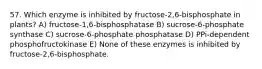 57. Which enzyme is inhibited by fructose-2,6-bisphosphate in plants? A) fructose-1,6-bisphosphatase B) sucrose-6-phosphate synthase C) sucrose-6-phosphate phosphatase D) PPi-dependent phosphofructokinase E) None of these enzymes is inhibited by fructose-2,6-bisphosphate.