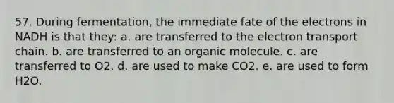 57. During fermentation, the immediate fate of the electrons in NADH is that they: a. are transferred to <a href='https://www.questionai.com/knowledge/k57oGBr0HP-the-electron-transport-chain' class='anchor-knowledge'>the electron transport chain</a>. b. are transferred to an organic molecule. c. are transferred to O2. d. are used to make CO2. e. are used to form H2O.