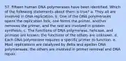 57. Fifteen human DNA polymerases have been identified. Which of the following statements about them is true? a. They all are involved in DNA replication. b. One of the DNA polymerases opens the replication fork, one forms the primer, another removes the primer, and the rest are involved in protein synthesis. c. The functions of DNA polymerase, helicase, and primase are known; the functions of the others are unknown. d. Each DNA polymerase requires a specific primer to function. e. Most replications are catalyzed by delta and epsilon DNA polymerases; the others are involved in primer removal and DNA repair.