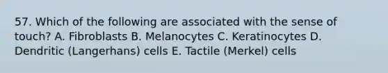 57. Which of the following are associated with the sense of touch? A. Fibroblasts B. Melanocytes C. Keratinocytes D. Dendritic (Langerhans) cells E. Tactile (Merkel) cells