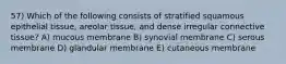 57) Which of the following consists of stratified squamous epithelial tissue, areolar tissue, and dense irregular connective tissue? A) mucous membrane B) synovial membrane C) serous membrane D) glandular membrane E) cutaneous membrane