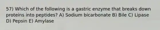 57) Which of the following is a gastric enzyme that breaks down proteins into peptides? A) Sodium bicarbonate B) Bile C) Lipase D) Pepsin E) Amylase