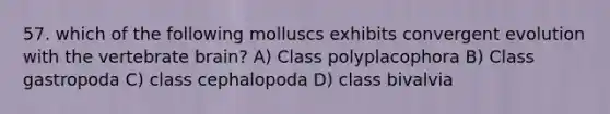 57. which of the following molluscs exhibits convergent evolution with the vertebrate brain? A) Class polyplacophora B) Class gastropoda C) class cephalopoda D) class bivalvia