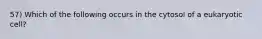 57) Which of the following occurs in the cytosol of a eukaryotic cell?