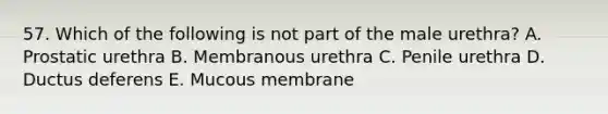 57. Which of the following is not part of the male urethra? A. Prostatic urethra B. Membranous urethra C. Penile urethra D. Ductus deferens E. Mucous membrane