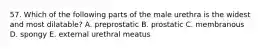 57. Which of the following parts of the male urethra is the widest and most dilatable? A. preprostatic B. prostatic C. membranous D. spongy E. external urethral meatus