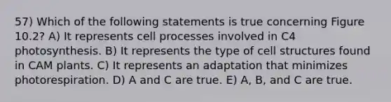 57) Which of the following statements is true concerning Figure 10.2? A) It represents cell processes involved in C4 photosynthesis. B) It represents the type of cell structures found in CAM plants. C) It represents an adaptation that minimizes photorespiration. D) A and C are true. E) A, B, and C are true.