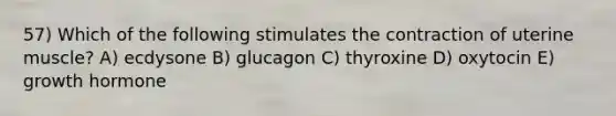 57) Which of the following stimulates the contraction of uterine muscle? A) ecdysone B) glucagon C) thyroxine D) oxytocin E) growth hormone