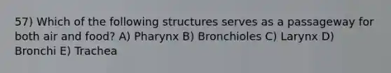 57) Which of the following structures serves as a passageway for both air and food? A) Pharynx B) Bronchioles C) Larynx D) Bronchi E) Trachea