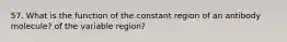 57. What is the function of the constant region of an antibody molecule? of the variable region?