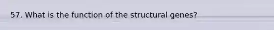 57. What is the function of the structural genes?