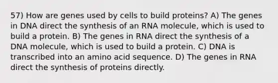 57) How are genes used by cells to build proteins? A) The genes in DNA direct the synthesis of an RNA molecule, which is used to build a protein. B) The genes in RNA direct the synthesis of a DNA molecule, which is used to build a protein. C) DNA is transcribed into an amino acid sequence. D) The genes in RNA direct the synthesis of proteins directly.