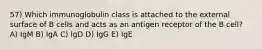 57) Which immunoglobulin class is attached to the external surface of B cells and acts as an antigen receptor of the B cell? A) IgM B) IgA C) IgD D) IgG E) IgE