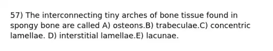 57) The interconnecting tiny arches of bone tissue found in spongy bone are called A) osteons.B) trabeculae.C) concentric lamellae. D) interstitial lamellae.E) lacunae.