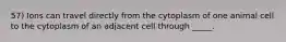 57) Ions can travel directly from the cytoplasm of one animal cell to the cytoplasm of an adjacent cell through _____.