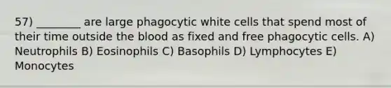 57) ________ are large phagocytic white cells that spend most of their time outside the blood as fixed and free phagocytic cells. A) Neutrophils B) Eosinophils C) Basophils D) Lymphocytes E) Monocytes