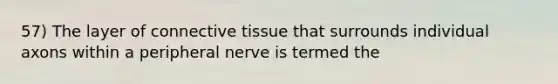 57) The layer of connective tissue that surrounds individual axons within a peripheral nerve is termed the