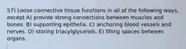 57) Loose connective tissue functions in all of the following ways, except A) provide strong connections between muscles and bones. B) supporting epithelia. C) anchoring blood vessels and nerves. D) storing triacylglycerols. E) filling spaces between organs.