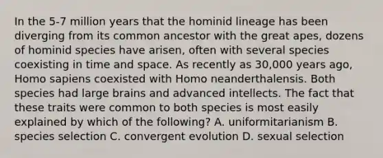 In the 5-7 million years that the hominid lineage has been diverging from its common ancestor with the great apes, dozens of hominid species have arisen, often with several species coexisting in time and space. As recently as 30,000 years ago, <a href='https://www.questionai.com/knowledge/k9aqcXDhxN-homo-sapiens' class='anchor-knowledge'>homo sapiens</a> coexisted with Homo neanderthalensis. Both species had large brains and advanced intellects. The fact that these traits were common to both species is most easily explained by which of the following? A. uniformitarianism B. species selection C. convergent evolution D. sexual selection