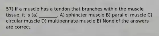 57) If a muscle has a tendon that branches within the muscle tissue, it is (a) ________. A) sphincter muscle B) parallel muscle C) circular muscle D) multipennate muscle E) None of the answers are correct.