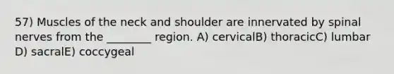 57) Muscles of the neck and shoulder are innervated by <a href='https://www.questionai.com/knowledge/kyBL1dWgAx-spinal-nerves' class='anchor-knowledge'>spinal nerves</a> from the ________ region. A) cervicalB) thoracicC) lumbar D) sacralE) coccygeal