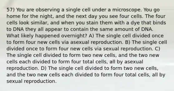 57) You are observing a single cell under a microscope. You go home for the night, and the next day you see four cells. The four cells look similar, and when you stain them with a dye that binds to DNA they all appear to contain the same amount of DNA. What likely happened overnight? A) The single cell divided once to form four new cells via asexual reproduction. B) The single cell divided once to form four new cells via sexual reproduction. C) The single cell divided to form two new cells, and the two new cells each divided to form four total cells, all by asexual reproduction. D) The single cell divided to form two new cells, and the two new cells each divided to form four total cells, all by sexual reproduction.