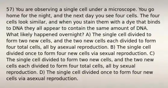 57) You are observing a single cell under a microscope. You go home for the night, and the next day you see four cells. The four cells look similar, and when you stain them with a dye that binds to DNA they all appear to contain the same amount of DNA. What likely happened overnight? A) The single cell divided to form two new cells, and the two new cells each divided to form four total cells, all by asexual reproduction. B) The single cell divided once to form four new cells via sexual reproduction. C) The single cell divided to form two new cells, and the two new cells each divided to form four total cells, all by sexual reproduction. D) The single cell divided once to form four new cells via asexual reproduction.