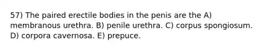 57) The paired erectile bodies in the penis are the A) membranous urethra. B) penile urethra. C) corpus spongiosum. D) corpora cavernosa. E) prepuce.