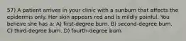 57) A patient arrives in your clinic with a sunburn that affects the epidermis only. Her skin appears red and is mildly painful. You believe she has a: A) first-degree burn. B) second-degree burn. C) third-degree burn. D) fourth-degree burn.