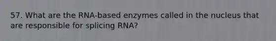 57. What are the RNA-based enzymes called in the nucleus that are responsible for splicing RNA?