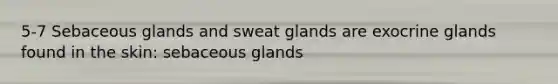 5-7 Sebaceous glands and sweat glands are exocrine glands found in the skin: sebaceous glands