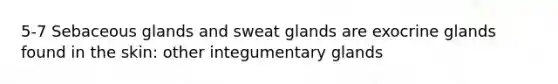 5-7 Sebaceous glands and sweat glands are exocrine glands found in the skin: other integumentary glands