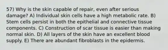 57) Why is the skin capable of repair, even after serious damage? A) Individual skin cells have a high metabolic rate. B) Stem cells persist in both the epithelial and <a href='https://www.questionai.com/knowledge/kYDr0DHyc8-connective-tissue' class='anchor-knowledge'>connective tissue</a> components. C) Construction of scar tissue is easier than making normal skin. D) All layers of the skin have an excellent blood supply. E) There are abundant fibroblasts in <a href='https://www.questionai.com/knowledge/kBFgQMpq6s-the-epidermis' class='anchor-knowledge'>the epidermis</a>.