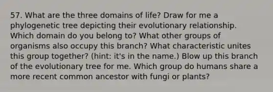 57. What are the three domains of life? Draw for me a phylogenetic tree depicting their evolutionary relationship. Which domain do you belong to? What other groups of organisms also occupy this branch? What characteristic unites this group together? (hint: it's in the name.) Blow up this branch of the evolutionary tree for me. Which group do humans share a more recent common ancestor with fungi or plants?