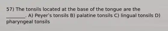 57) The tonsils located at the base of the tongue are the ________. A) Peyerʹs tonsils B) palatine tonsils C) lingual tonsils D) pharyngeal tonsils