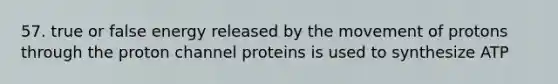 57. true or false energy released by the movement of protons through the proton channel proteins is used to synthesize ATP